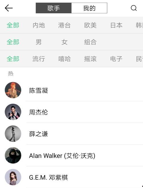吃瓜歌曲伴奏视频播放,畅游音乐盛宴