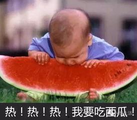 吃瓜大赛最新视频,最新视频揭秘精彩瞬间
