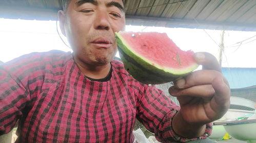 农民二哥吃瓜视频,揭秘农村生活趣味瞬间