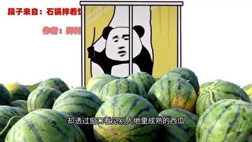 二表哥吃瓜的视频,揭秘娱乐圈幕后故事