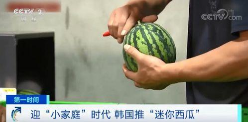 长的瓜要削皮吃吗视频讲解,长瓜削皮食用指南