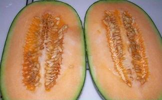 哈密瓜可以涮锅吃吗视频,创意美食新体验