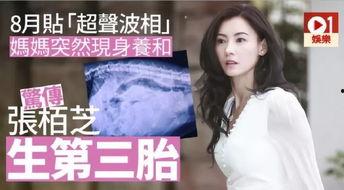 女生给你分享吃瓜视频,女生分享的吃瓜视频大揭秘