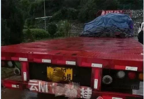 司机撞车吃瓜视频播放,围观还是冷漠？