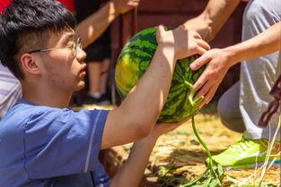 大学吃瓜视频哪里可以看,热门平台一览