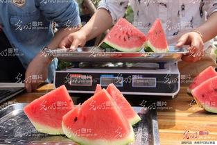 山东聊城吃瓜事件视频,一场引发社会关注的网络视频风波