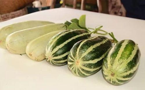 网红吃瓜视频免费,揭秘娱乐圈幕后真相，带你领略明星日常