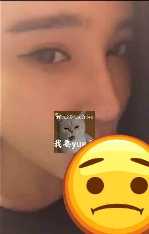 大嘴吃哈密瓜搞笑视频在线观看,欢乐无限搞笑瞬间