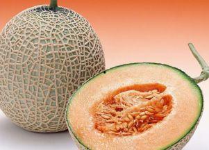 一个鹅吃哈密瓜的故事视频