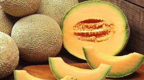 吃大哈密瓜视频,一场视觉与味蕾的双重享受