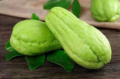 鸡吃生葫芦瓜视频大全下载,趣味视频大全下载推荐