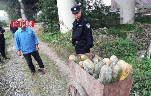 平顶山市吃瓜事件真相视频,揭秘背后真相与争议