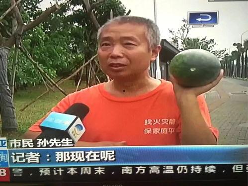 银河吃瓜群众事件视频