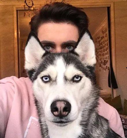 二哈吃哈密瓜的视频,萌宠美食大作战！