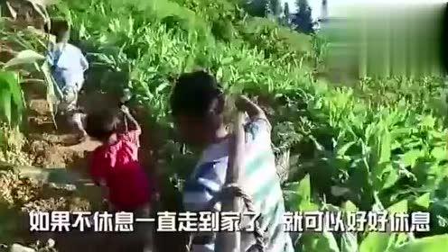朱亭吃瓜视频全集,揭秘娱乐圈幕后真相
