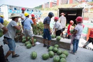 石棉县吃瓜群众事件视频,一场网络舆论的风暴与反思