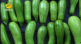 炒瓜吃中毒视频播放下载,下载观看引关注