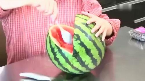 吃瓜长视频玩具,趣味互动，畅享欢乐时光