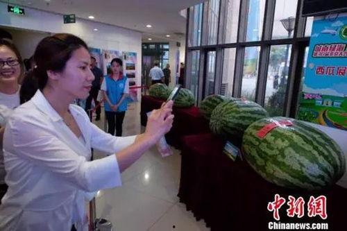 金乡吃瓜群众新闻视频播放,新闻视频播放背后的故事