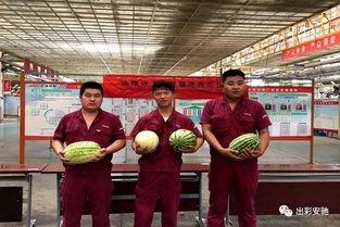 第一届吃瓜比赛视频回放,第一届吃瓜比赛精彩瞬间大盘点