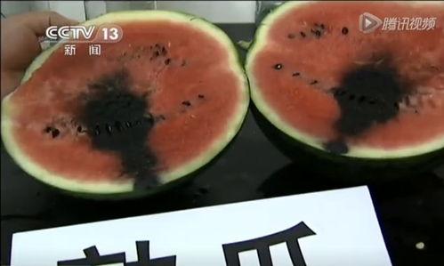 无唇吃瓜的视频