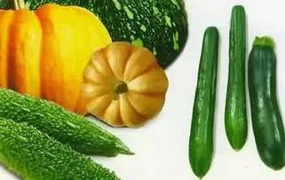 32秒的视频吃瓜,32秒视频揭秘吃瓜界的秘密瞬间