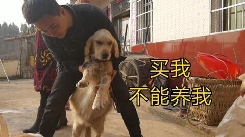 吃瓜老杨事件真相视频,揭秘真相背后的惊人内幕